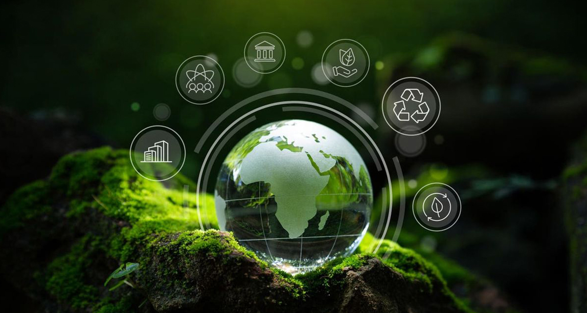 Institut Penyelidikan Teknologi Pengeringan Beku Sieno (Jiangsu) Co., Ltd