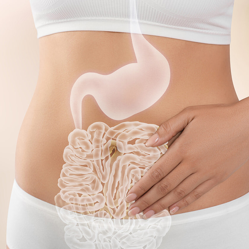 Mesin Pembungkusan Pengisian Nitrogen Kerajang Aluminium untuk Produk Kering Beku Kesihatan Gastrointestinal